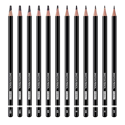 PANDAFLY Professional Drawing Sketching Pencil Set