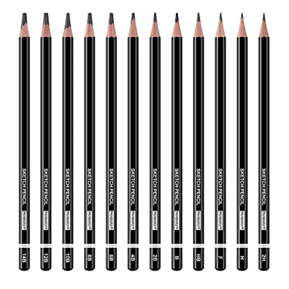 PANDAFLY Professional Drawing Sketching Pencil Set