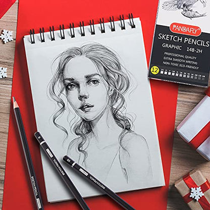 PANDAFLY Professional Drawing Sketching Pencil Set