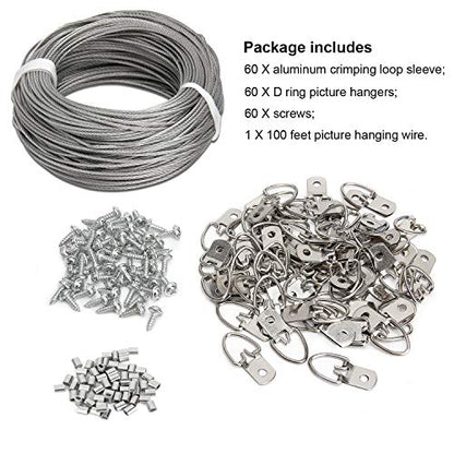 Picture Hanging Kit - 100 Feet Stainless Steel Hanging Wire